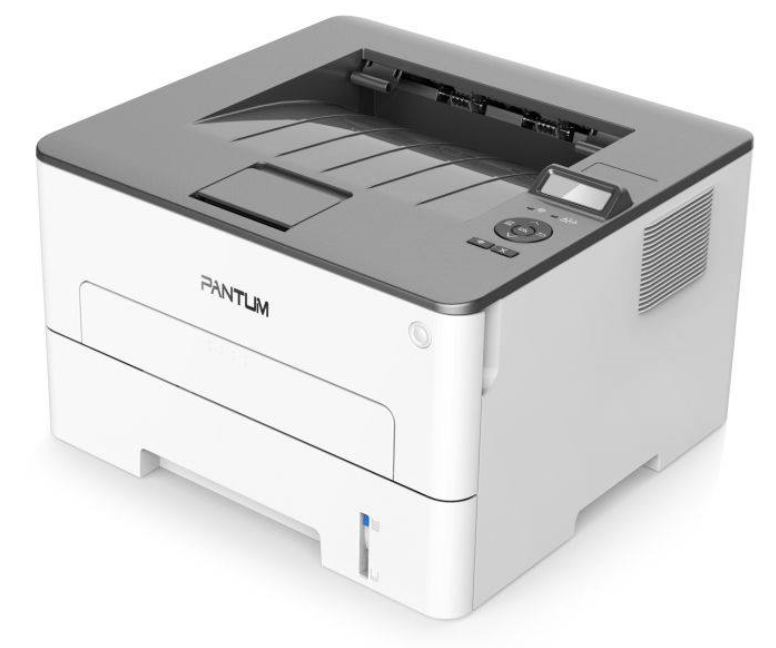 Pantum P3300